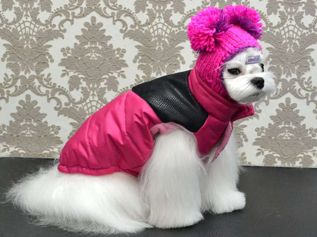 Жилетка для собаки Puffy Аква