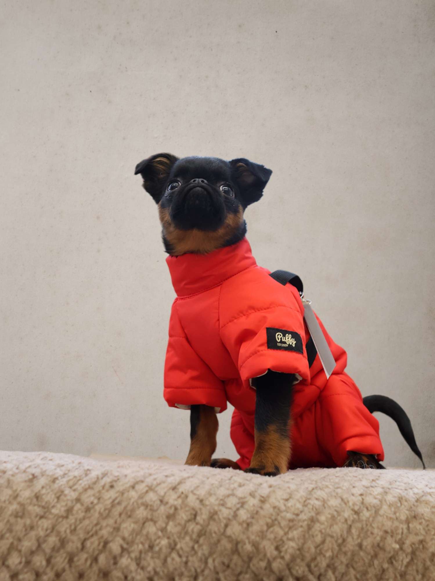 Комбинезон для собак со шлейкой Puffy Фикс красный