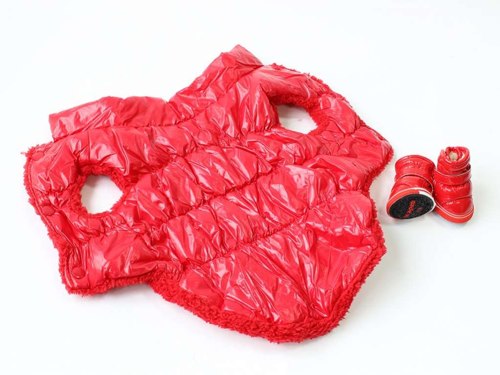 Жилетка для собаки Pet Краски