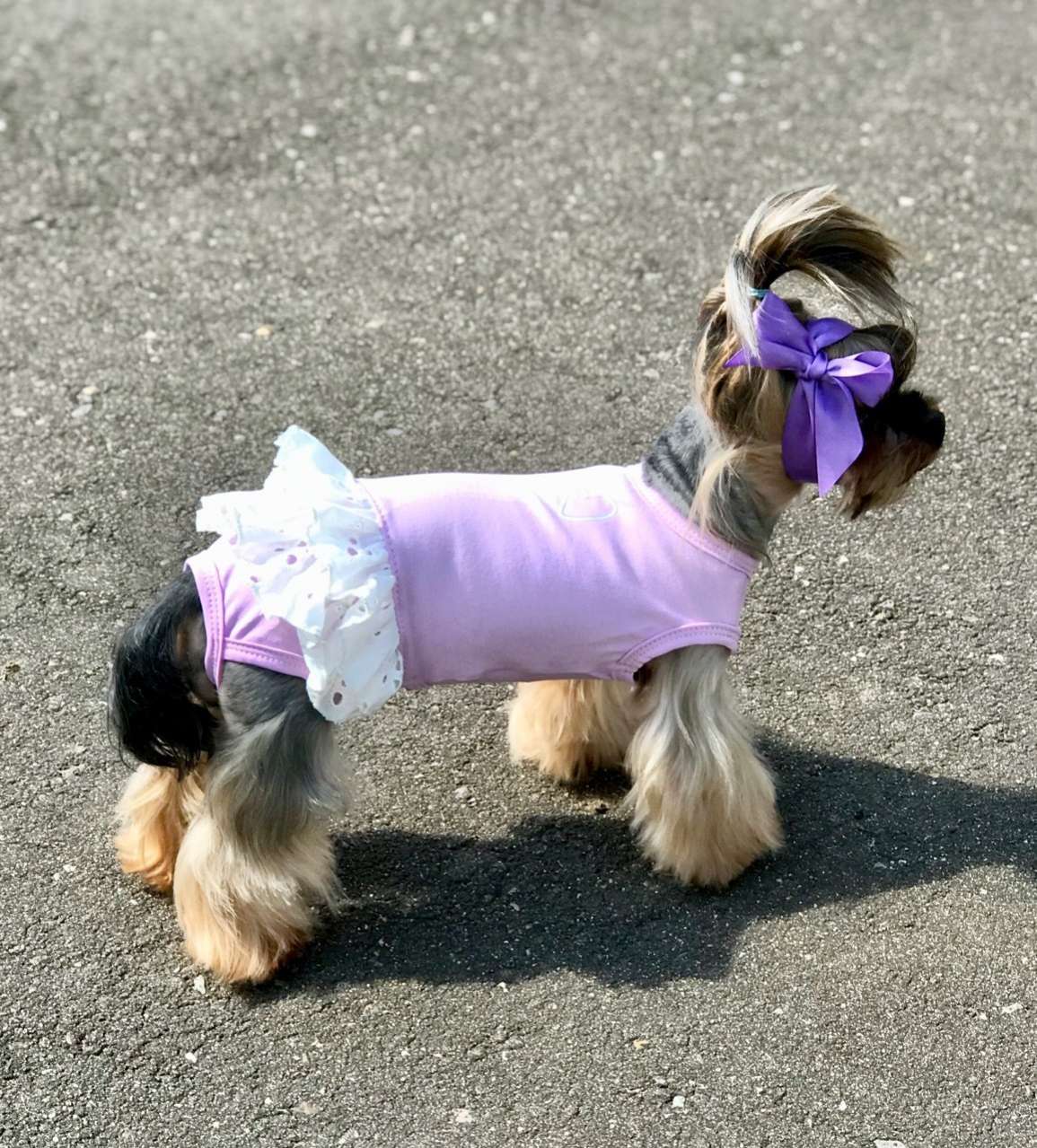 Майка для собаки Песочник Premium Бантик