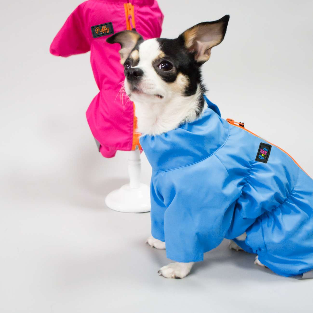 Дождевик для собаки утепленный Puffy Лион голубой