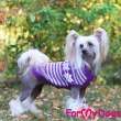 Свитер для собак ForMyDogs Нордик