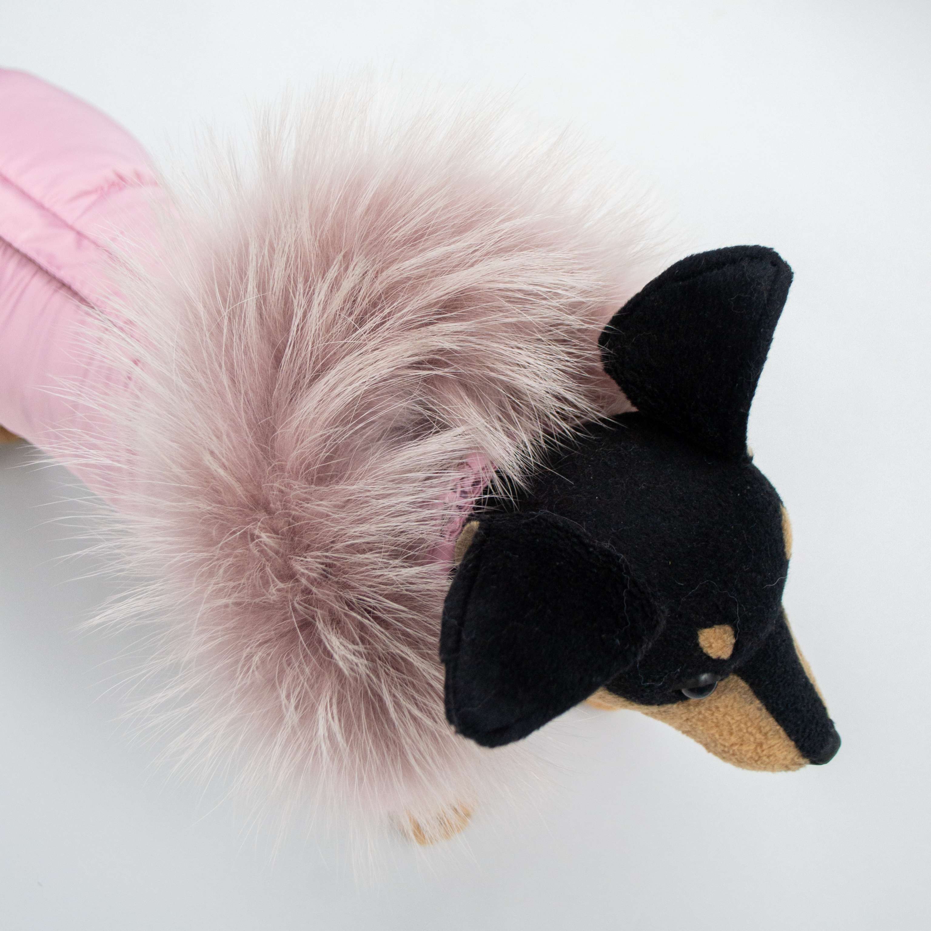 Комбинезон для собак Северное сияние Клевер на шелке