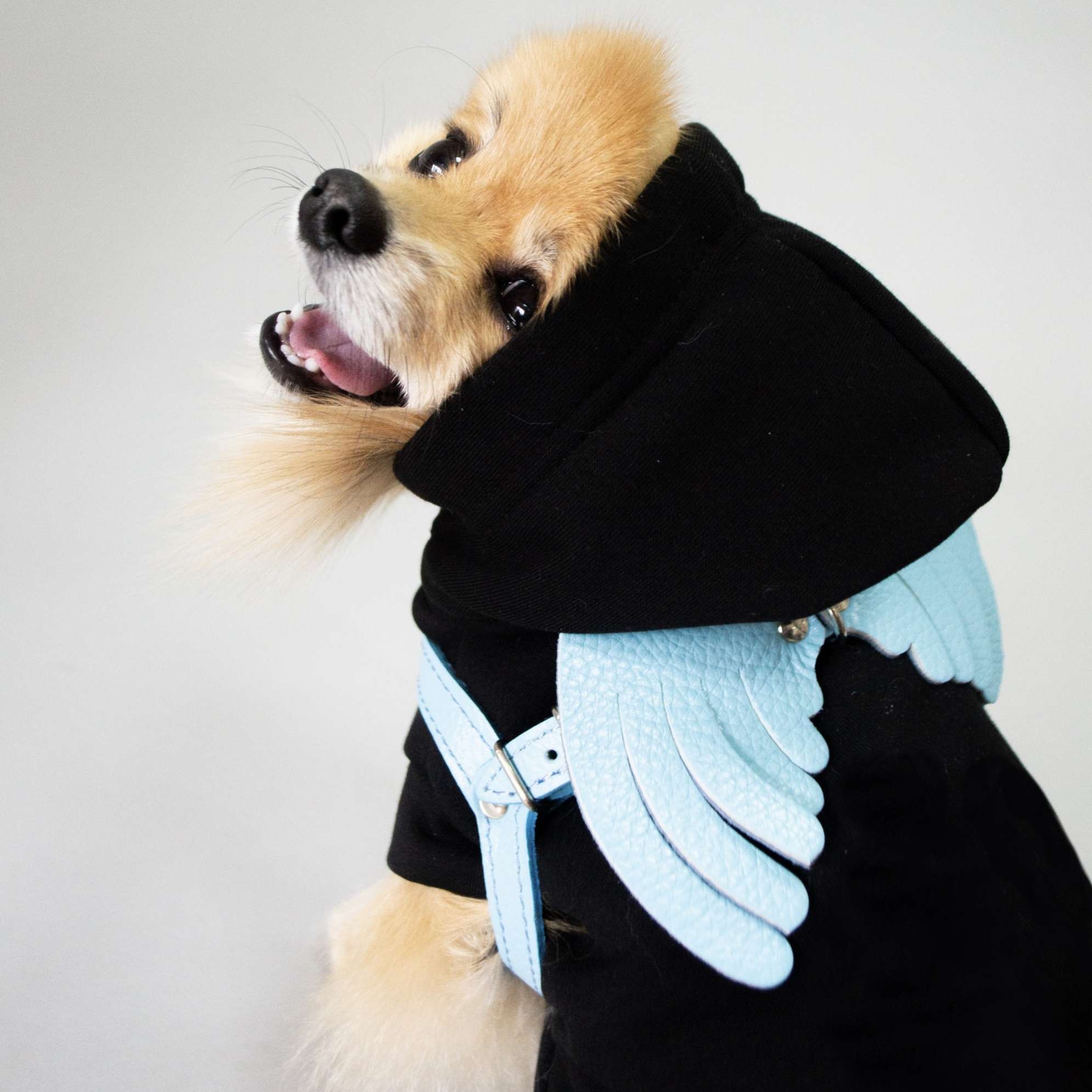 Кожаная шлейка для собак Крылья