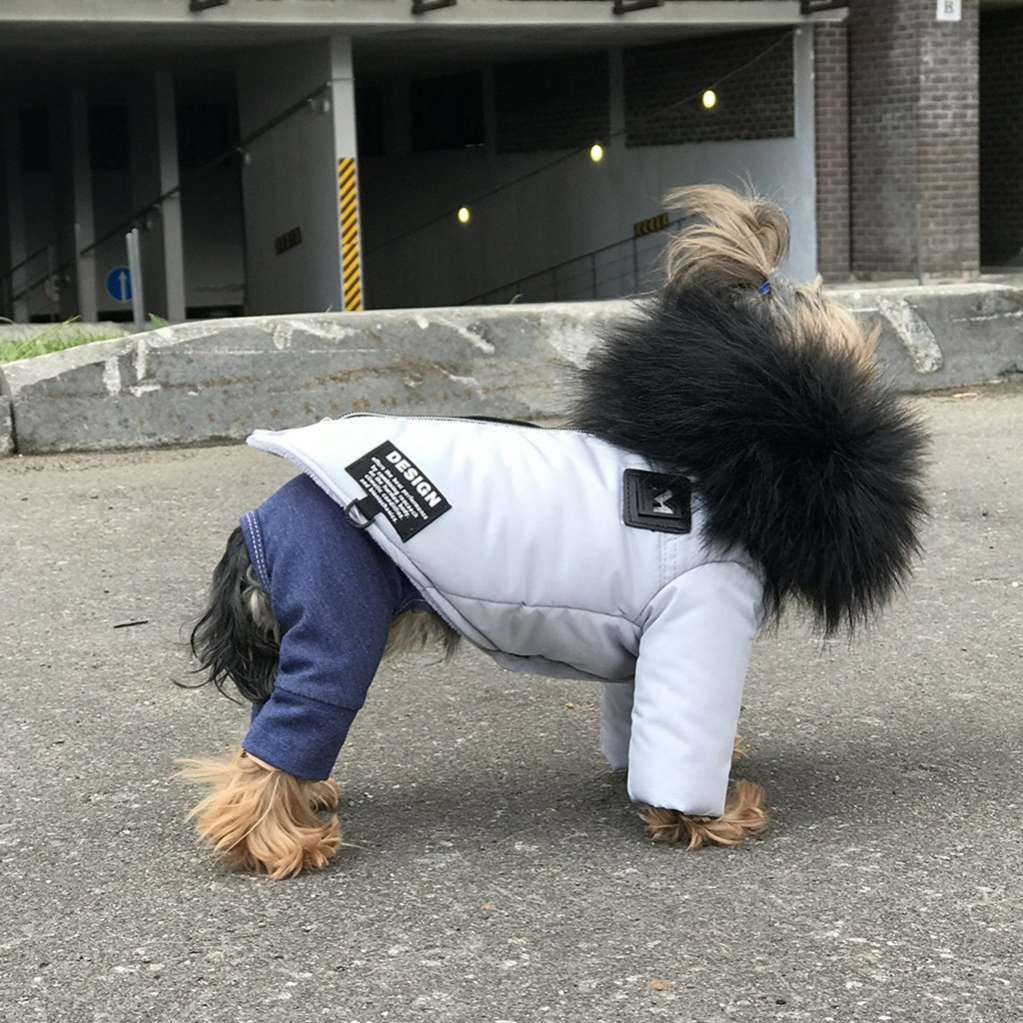 Куртка для собаки Фешн