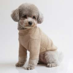 Свитшот для собак Puffy Лапша латте