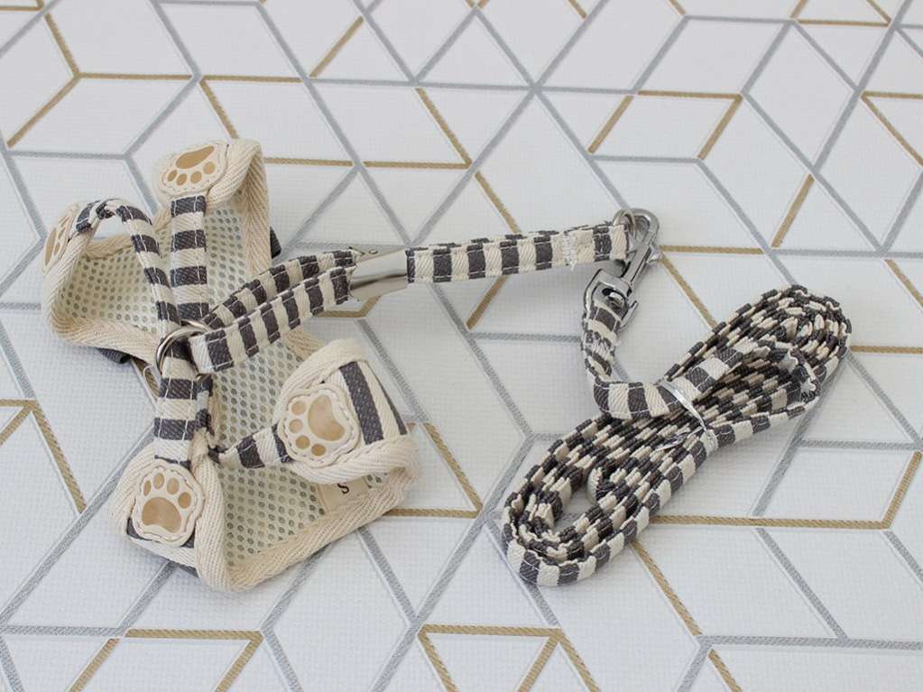 Шлейка с поводком для собак Pet Bonjour