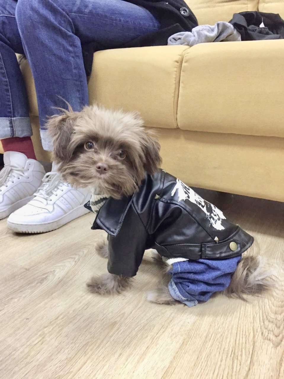 Кожаная куртка для собак Pet Skate Board