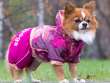 Комбинезон для собак ForMyDogs Лотос