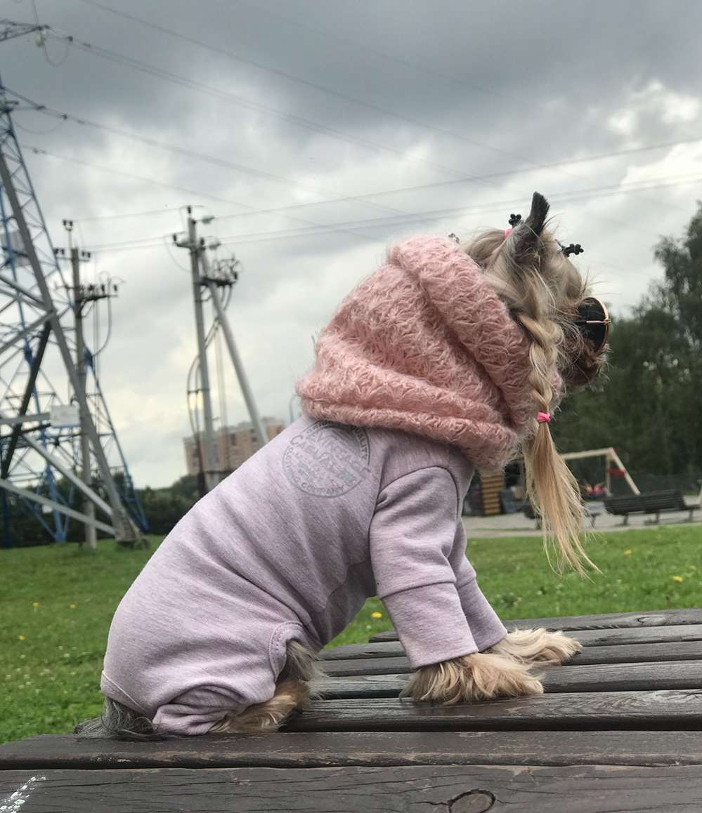 Снуд трикотажный для собаки