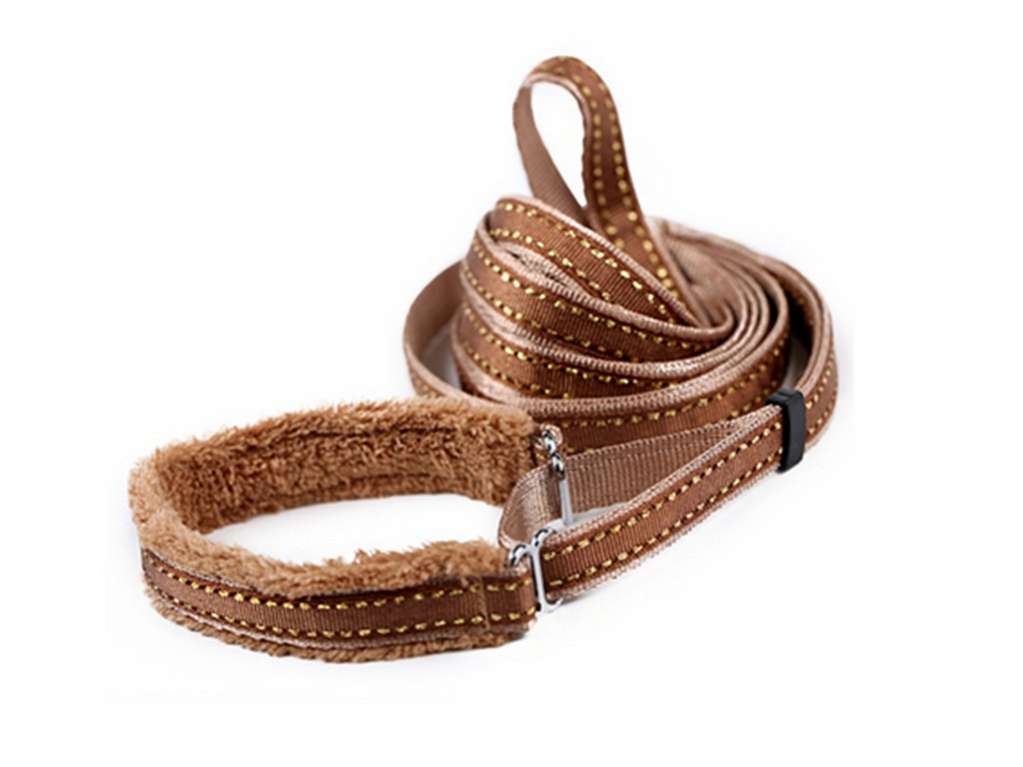 Ошейник для собак ForMyDogs с поводком