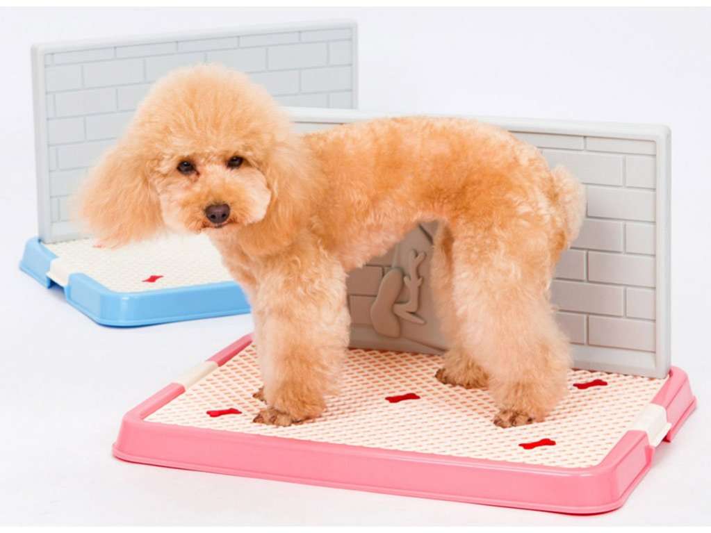 Лоток для собак Туалет со стенкой