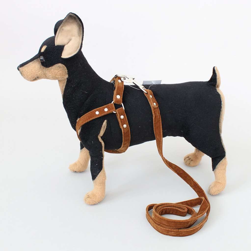 Поводок и шлейка для собаки Pet Зуми