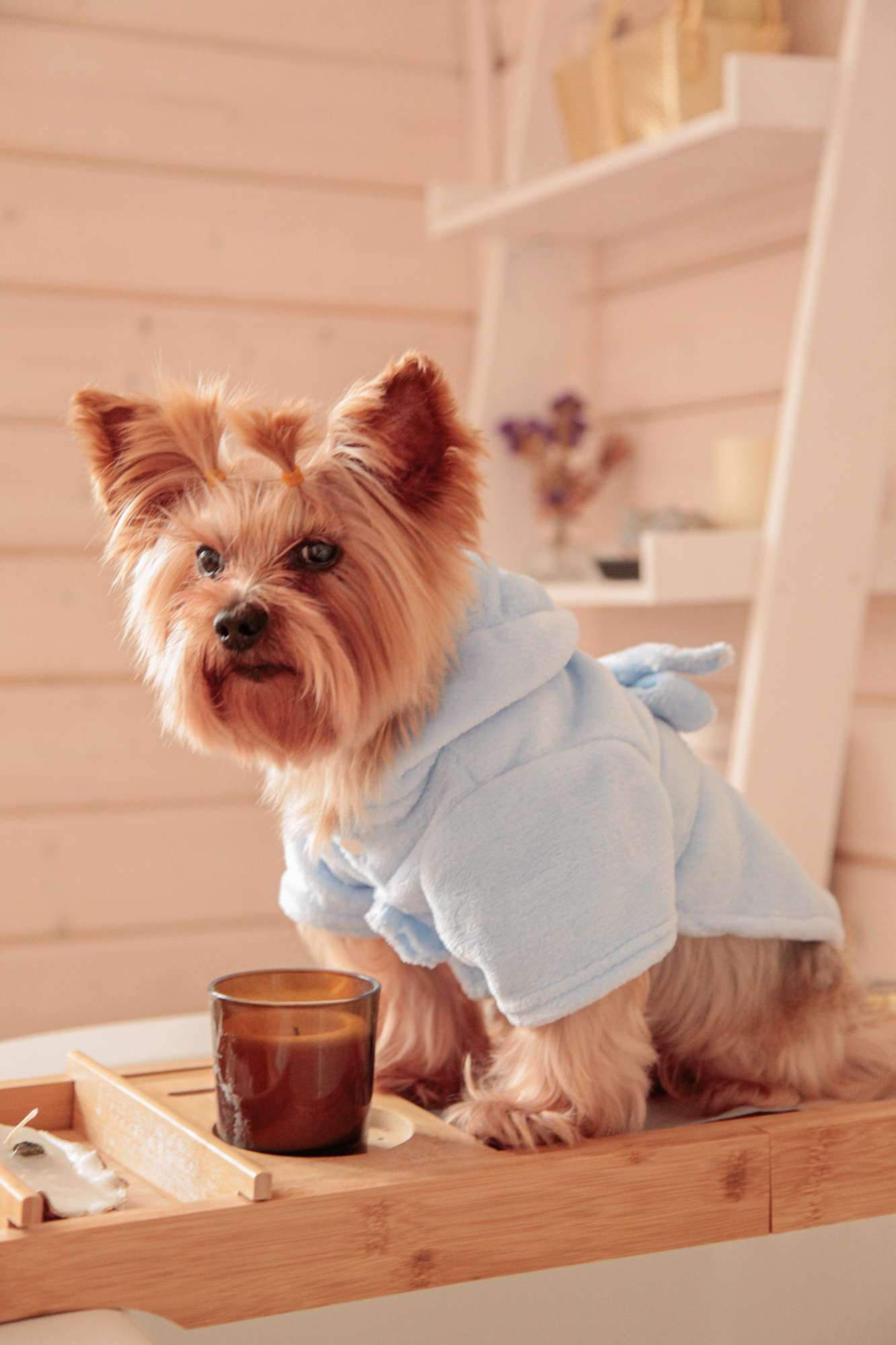 Халат для собак банный плюшевый