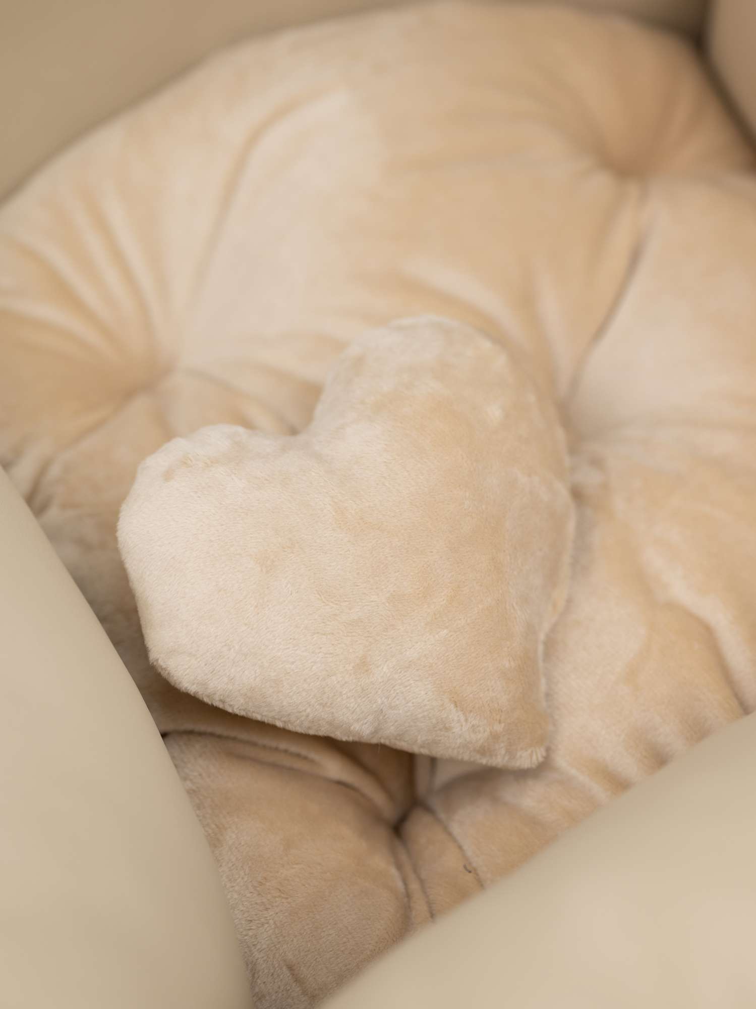 Автокресло для собак Puffy Ровер