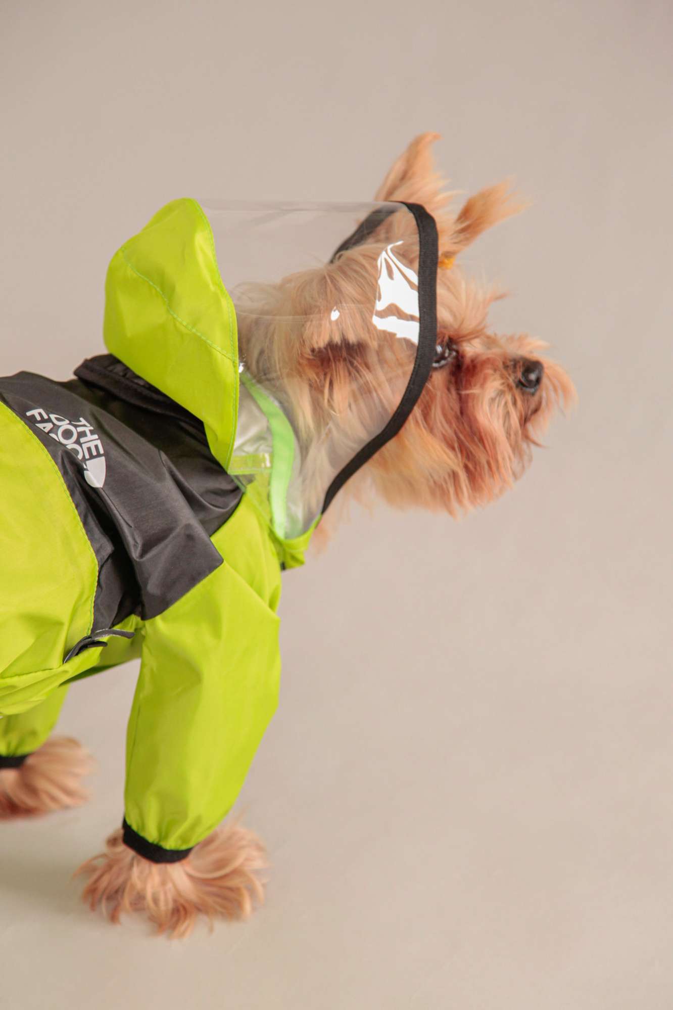 Дождевик для собаки Pet Палермо