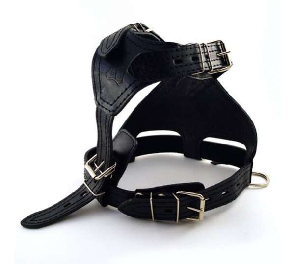 Кожаная шлейка для собак Комфорт