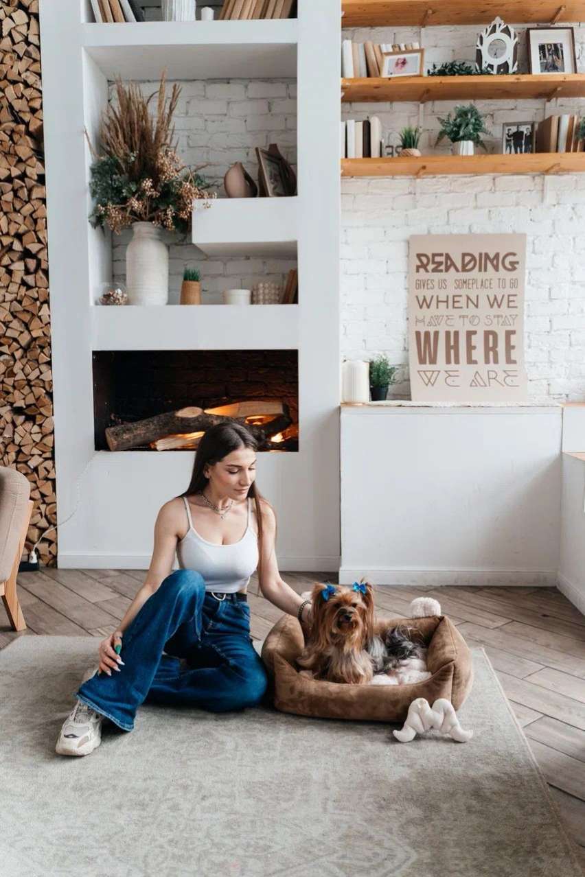 Диван для собаки Puffy Умка Шоколадный