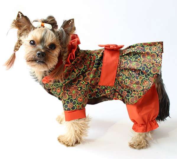 Дождевик для собаки Цветы (3 цвета)