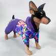 Костюм для собак теплый ForMyDogs Фитнес