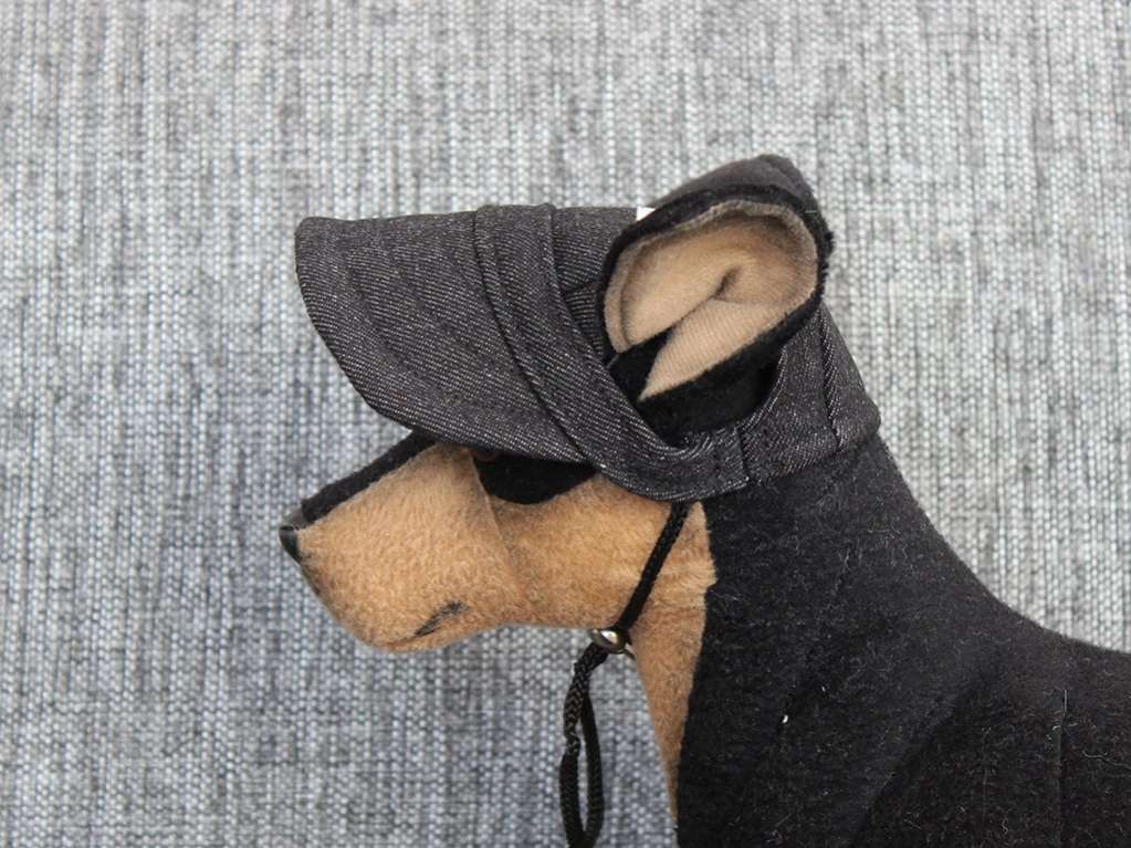 Кепка для собаки Pet Summer