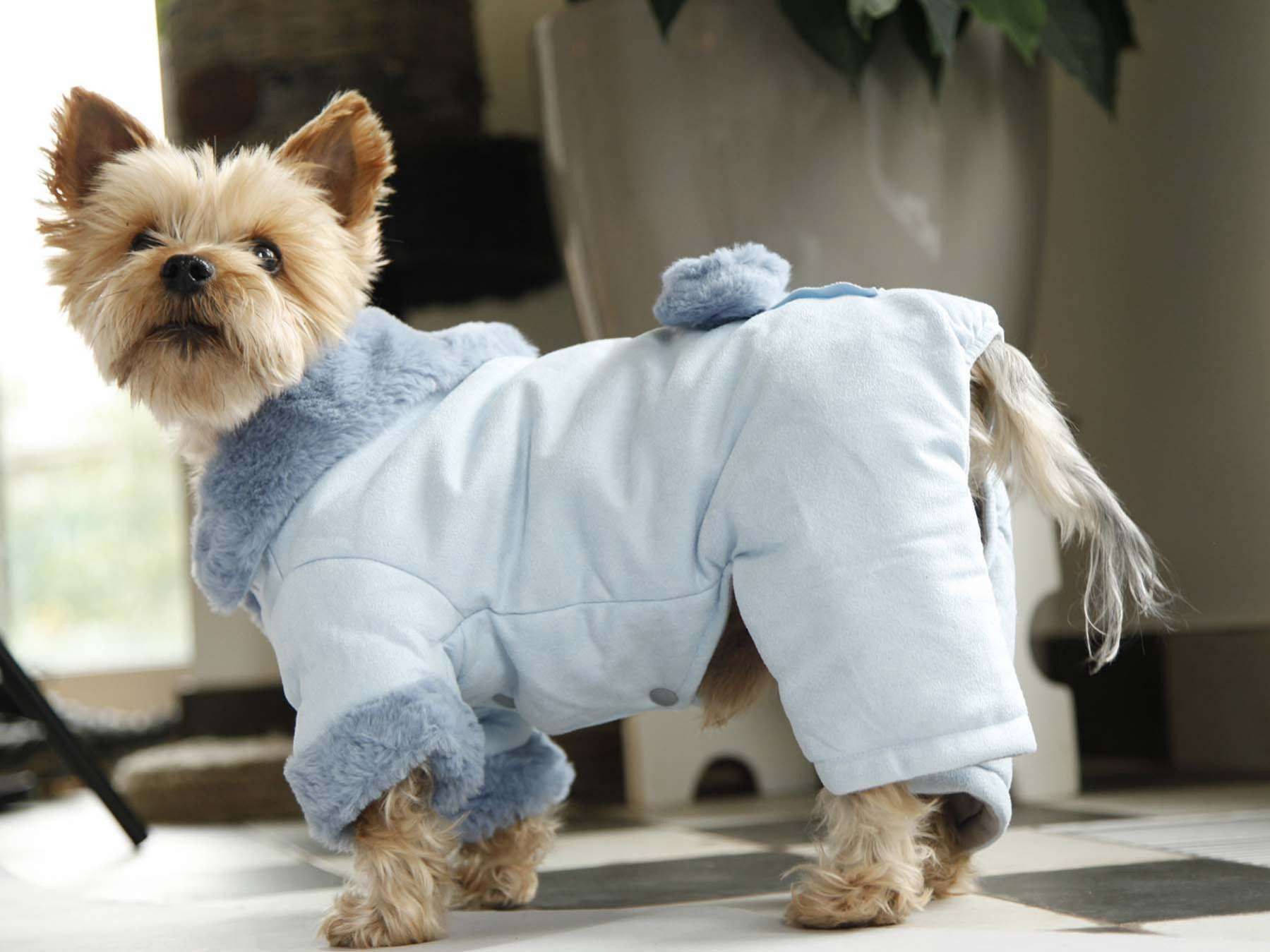 Костюм для собак утепленный Pet Happy Baby