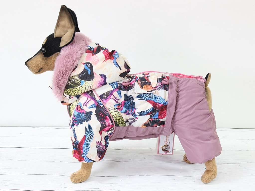 Зимний комбинезон для собак ForMyDogs Бёрд