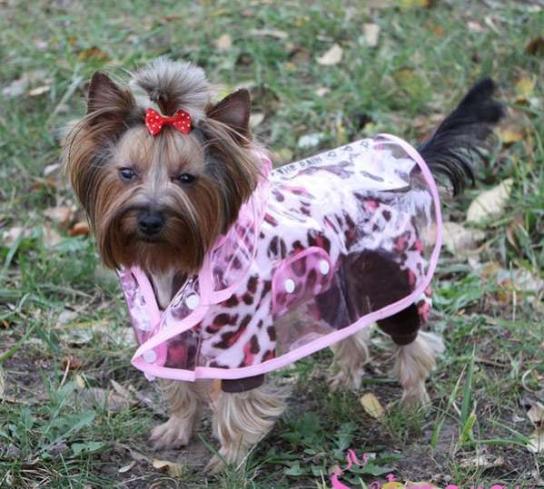 Дождевик плащ для собаки