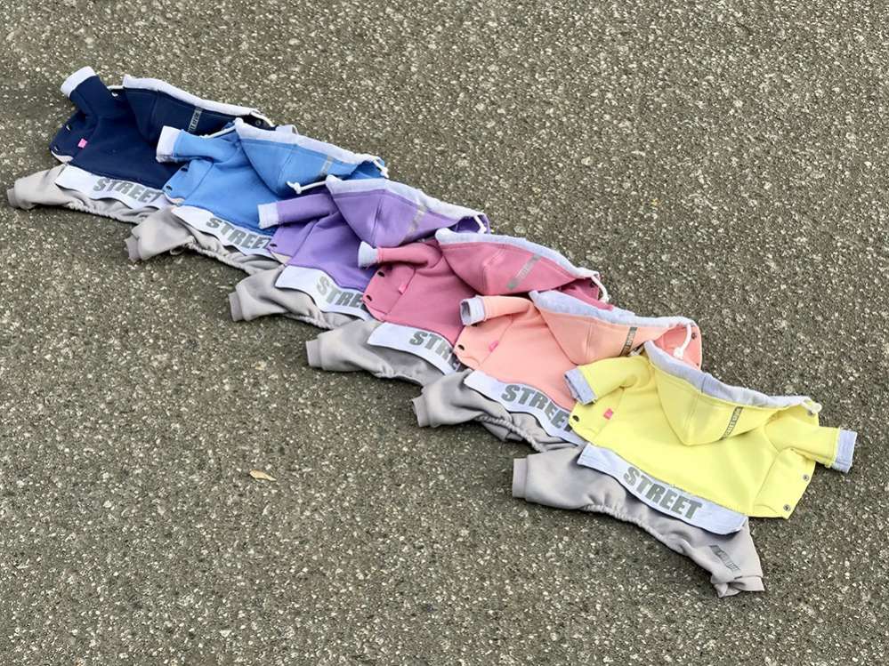 Костюм для собак трикотажный Premium Радуга