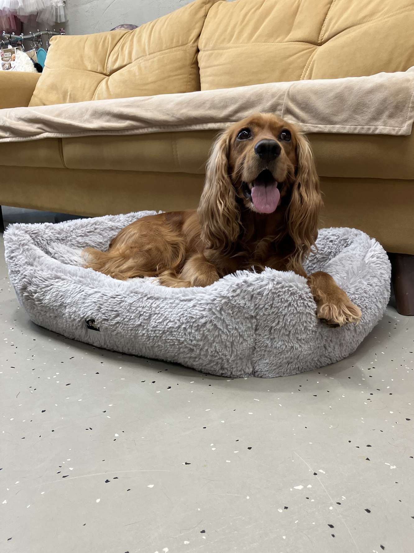 Диван для собаки Puffy Сильвер
