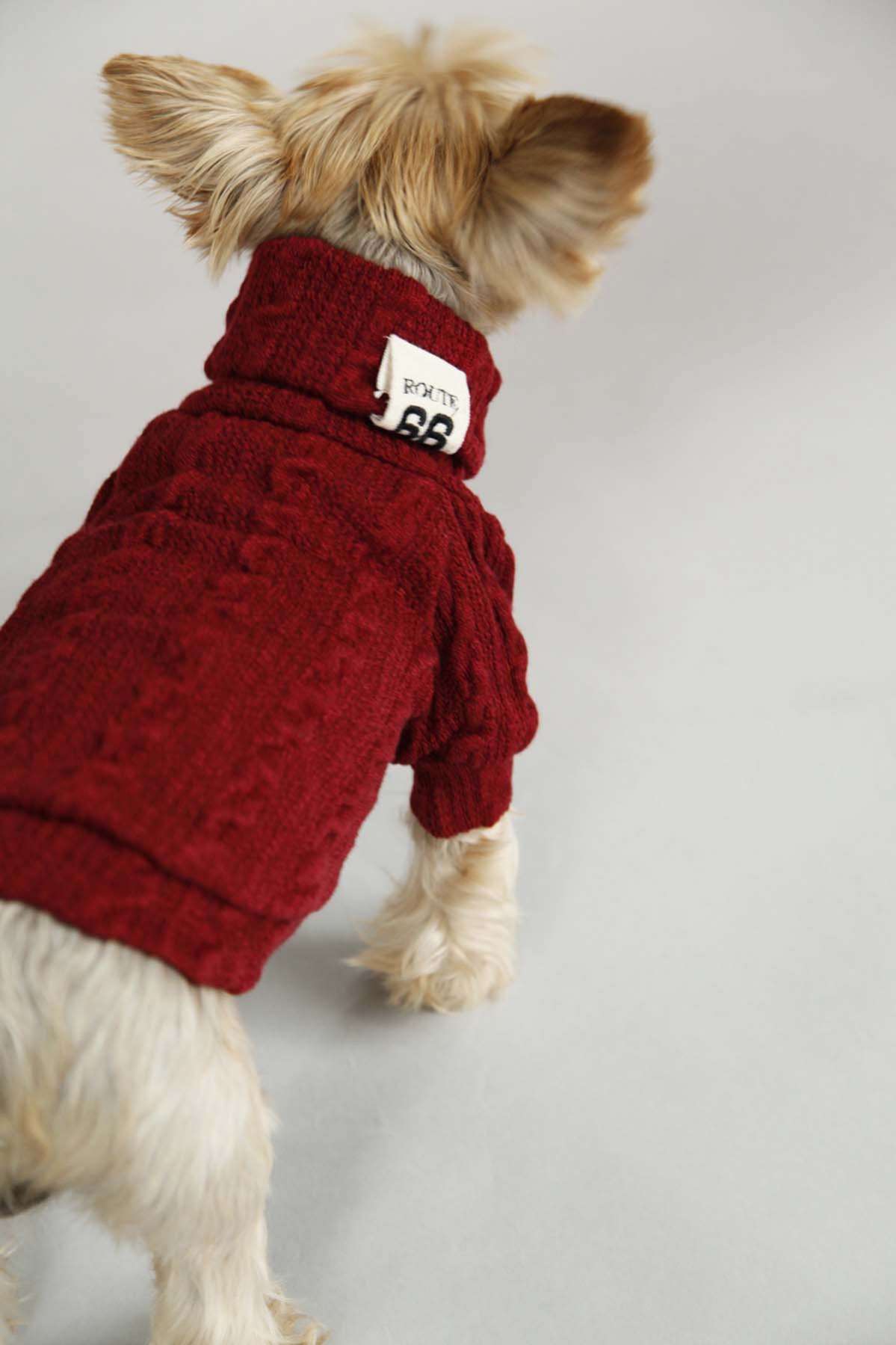 Свитер для собак Pet Роут
