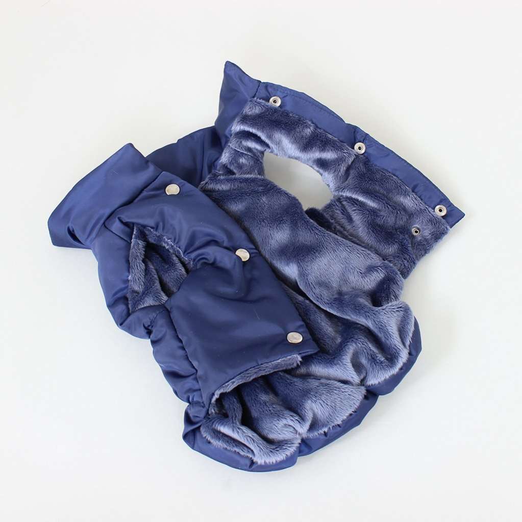 Жилет для собаки Фиби стронг