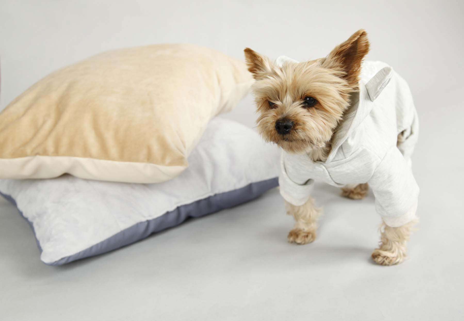 Костюм для собак трикотажный Pet Балу