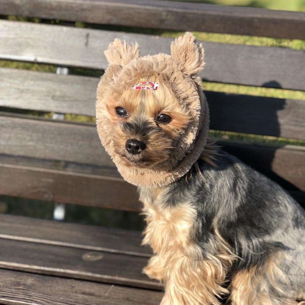 Шапка для собаки Капор Puffy Гамми Белый