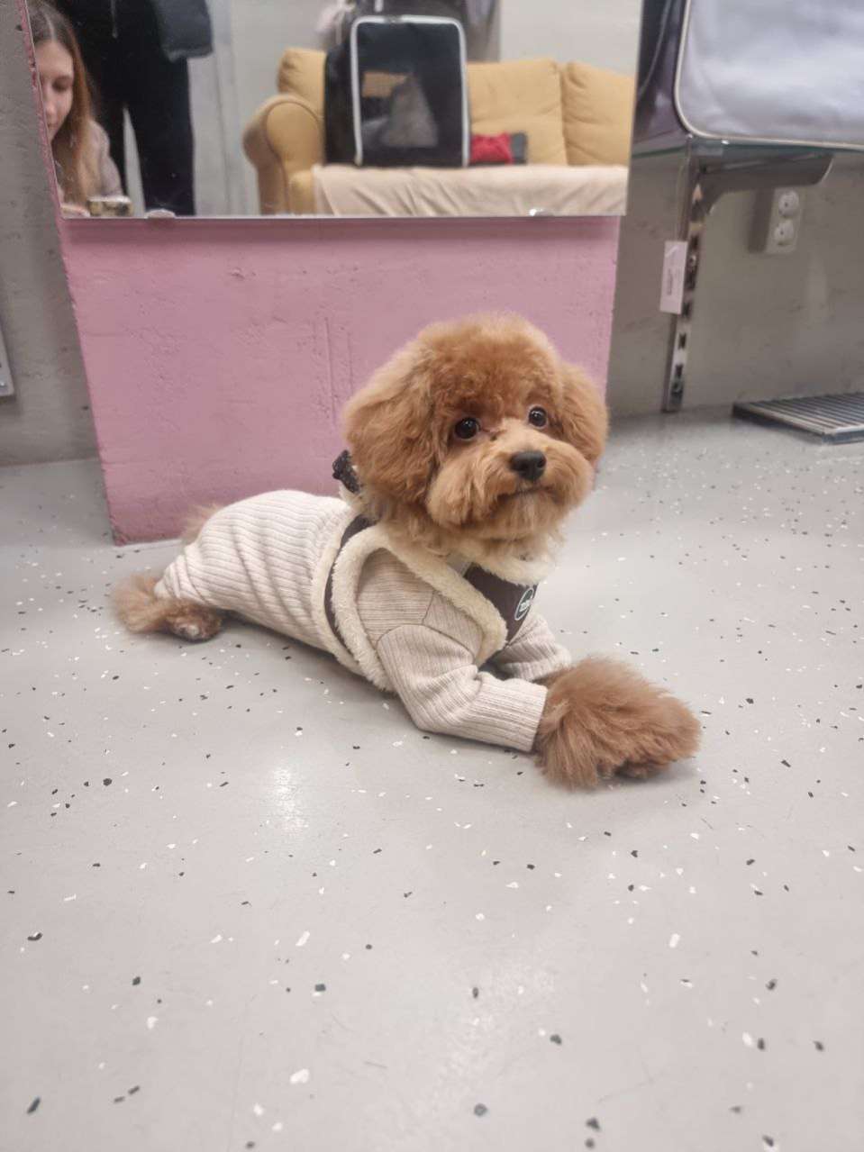 Костюм-боди для собак Puffy Лапша бежевый