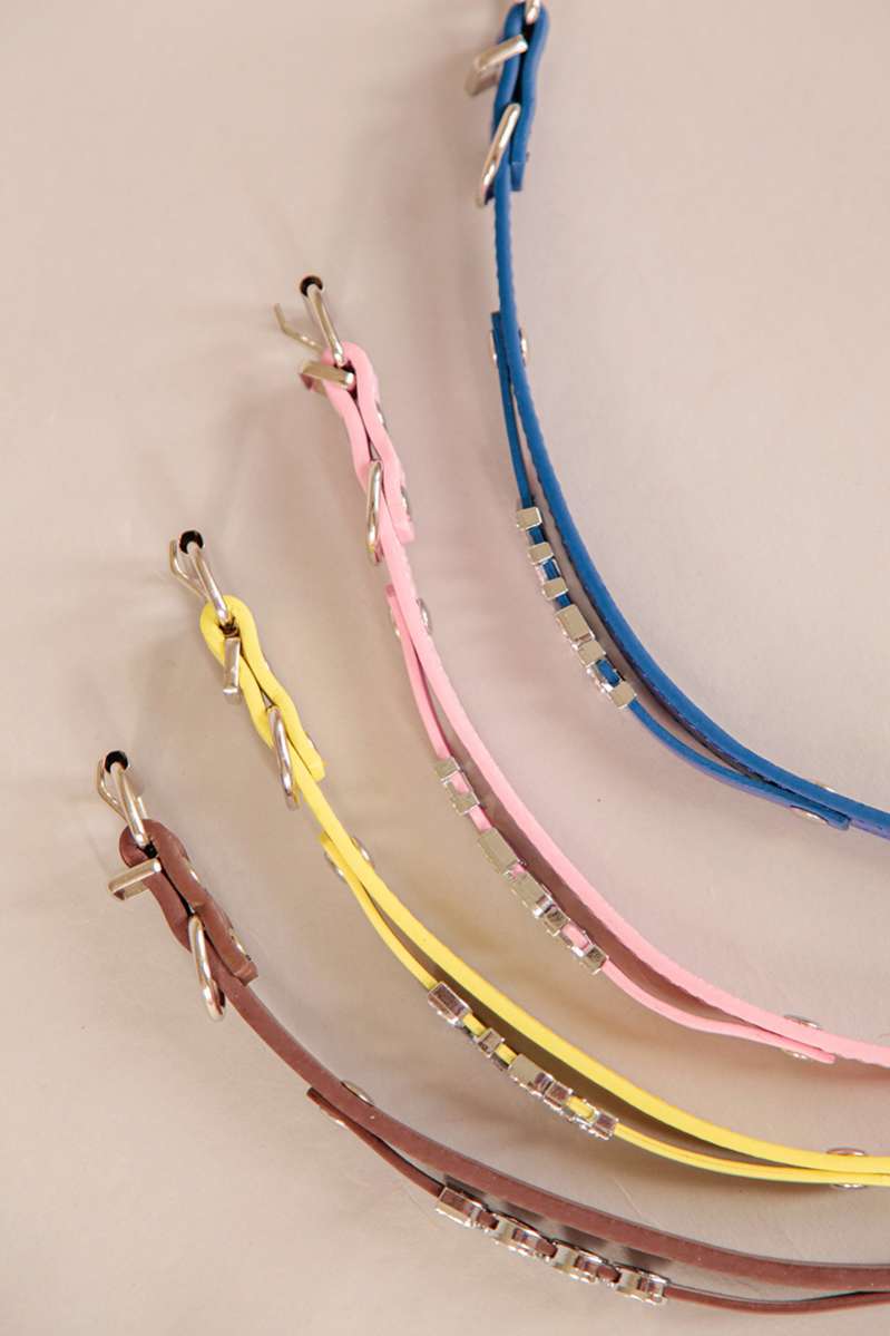 Ошейник для собак с готовым именем