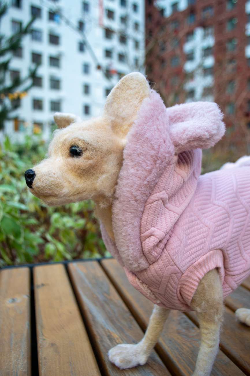 Жилет для собаки трикотажный Pet Лапочка