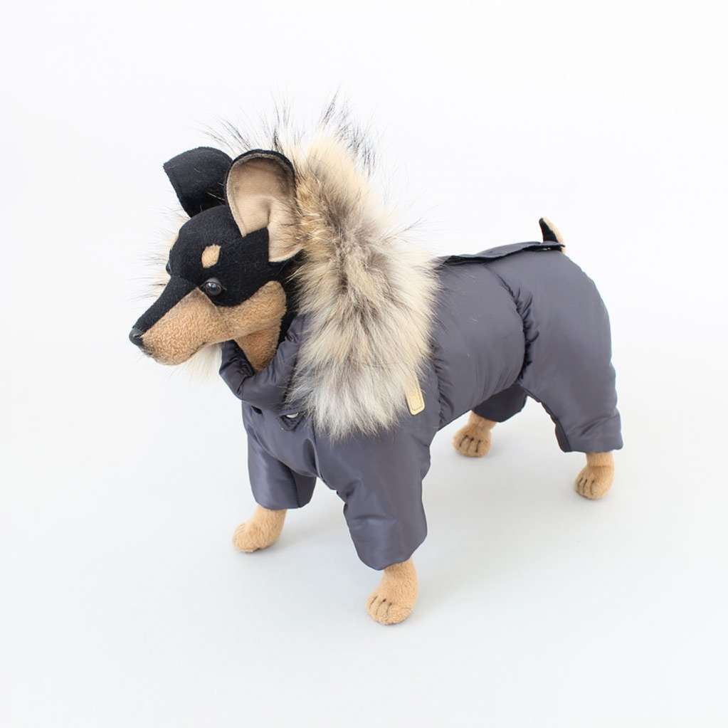 Зимний комбинезон для собак Северное сияние Графит