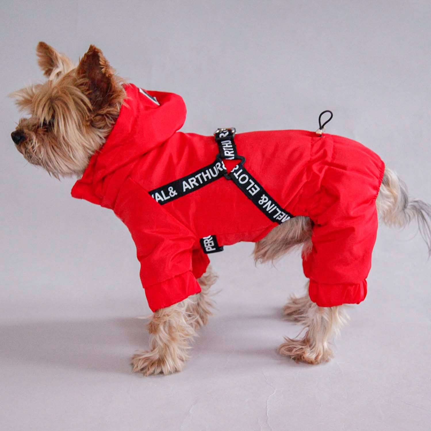 Дождевик для собаки утепленный Pet Мемори