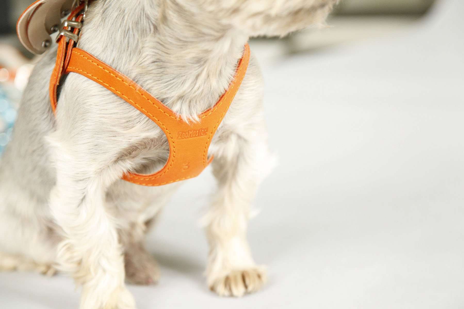 Шлейка для собак V-образная с мягкой грудью и спинкой - Супер пес
