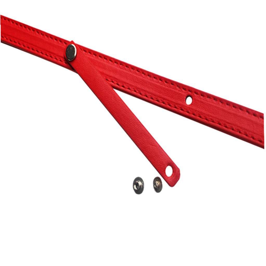 Ошейник для собак с именем двойной