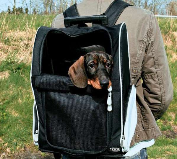 Сумка на колесах для собак Дорожный рюкзак