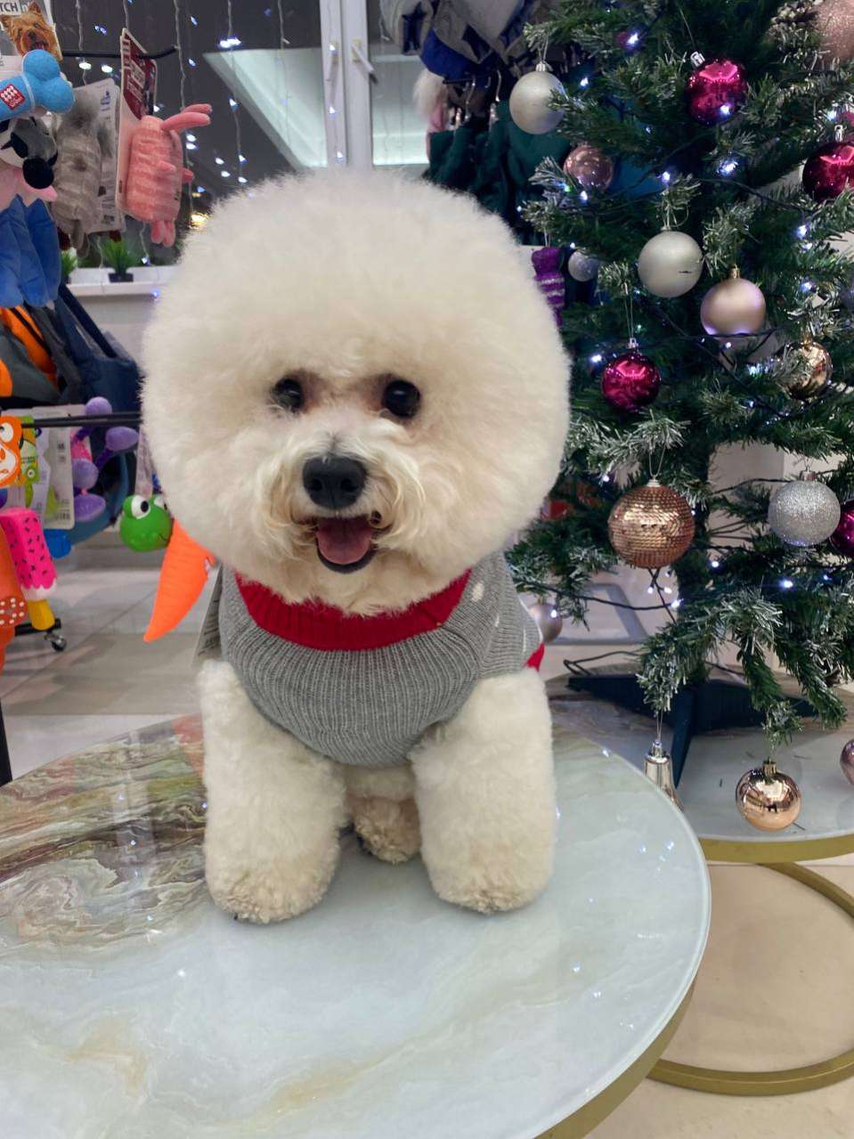 Свитер Новогодний Мишка