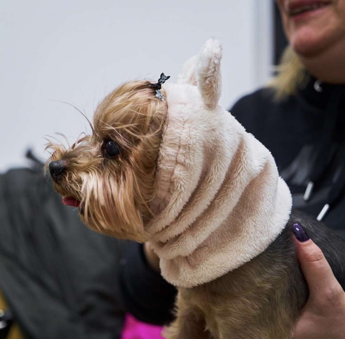 Шапка для собаки Капор Puffy Мишка