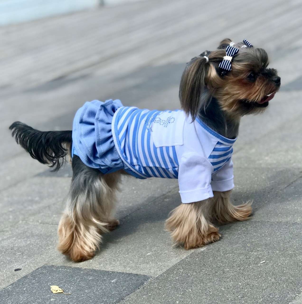 Юбка для собак Premium Джинса