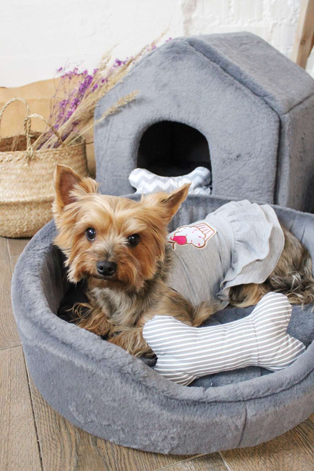 Платье для собак Puffy Пироженка