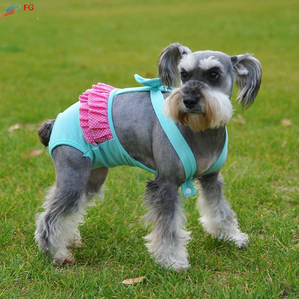 Трусики для собак подтяжки Бантик