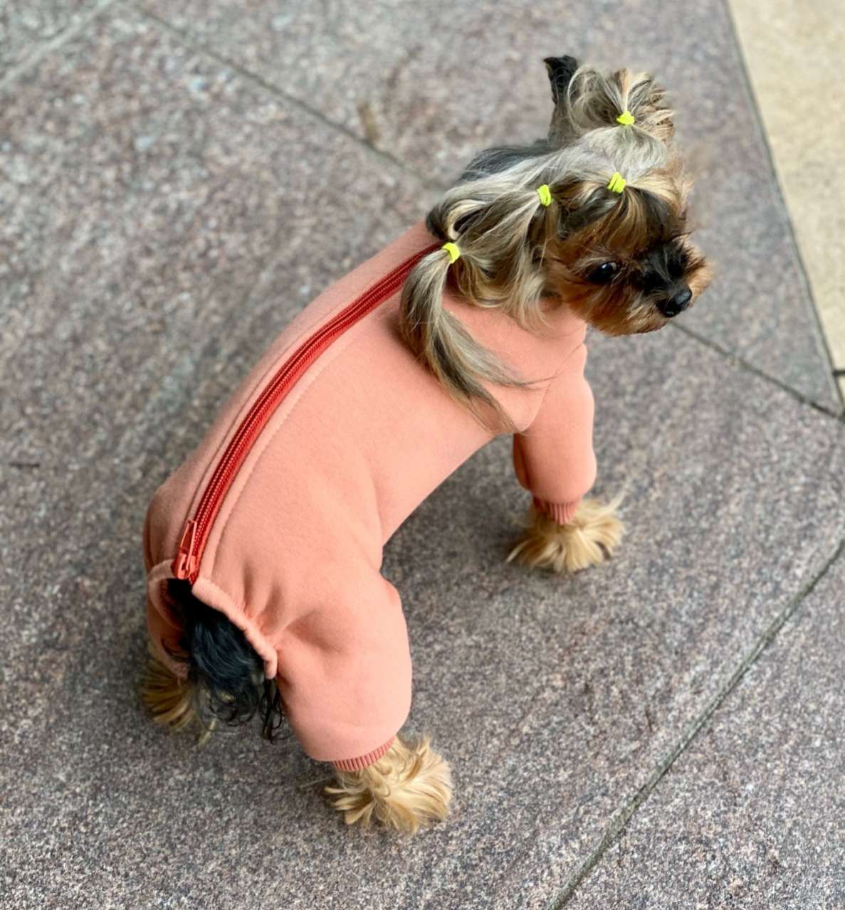 Костюм для собак теплый Premium Квинси