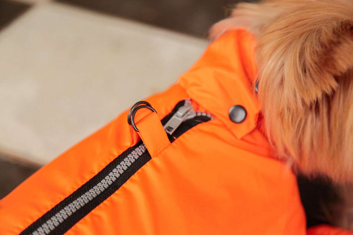 Дождевик для собаки Puffy Rich