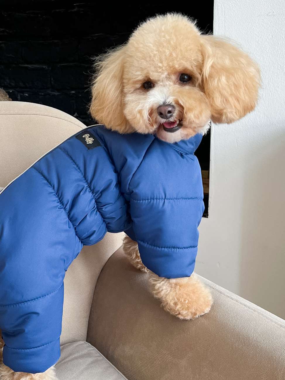 Зимний комбинезон для собак Puffy Норд Синий